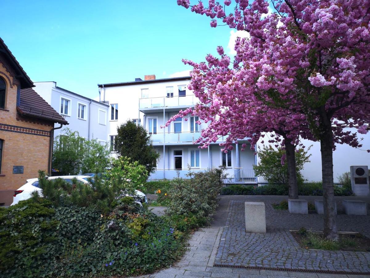 Pb Ferienwohnungen - Fewo 3 - Stilvoll Eingerichtetes Studio Im Herzen Senftenbergs 外观 照片